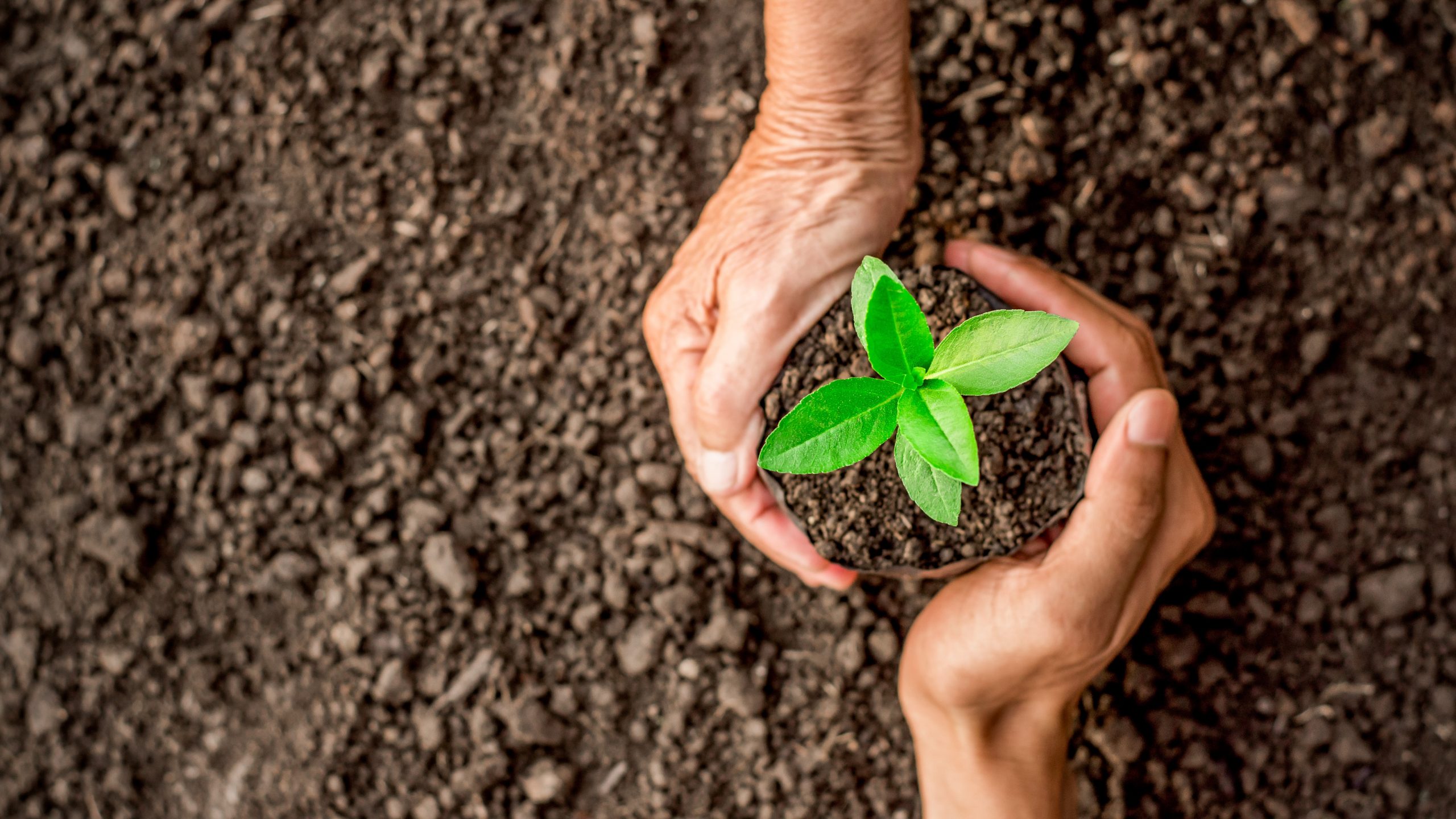 Afbeelding Kringlooplandbouw website Afbeelding Kringlooplandbouw website