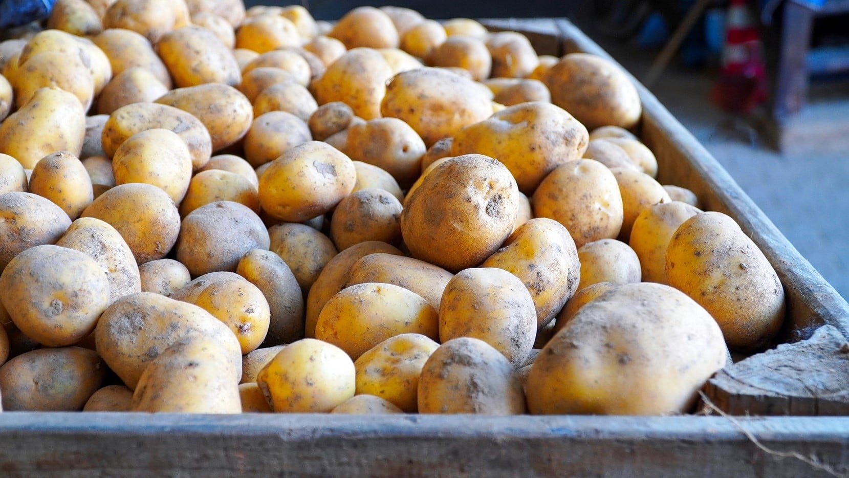 119731617_3335054609911362_5831011385425103024_o 119731617_3335054609911362_5831011385425103024_o