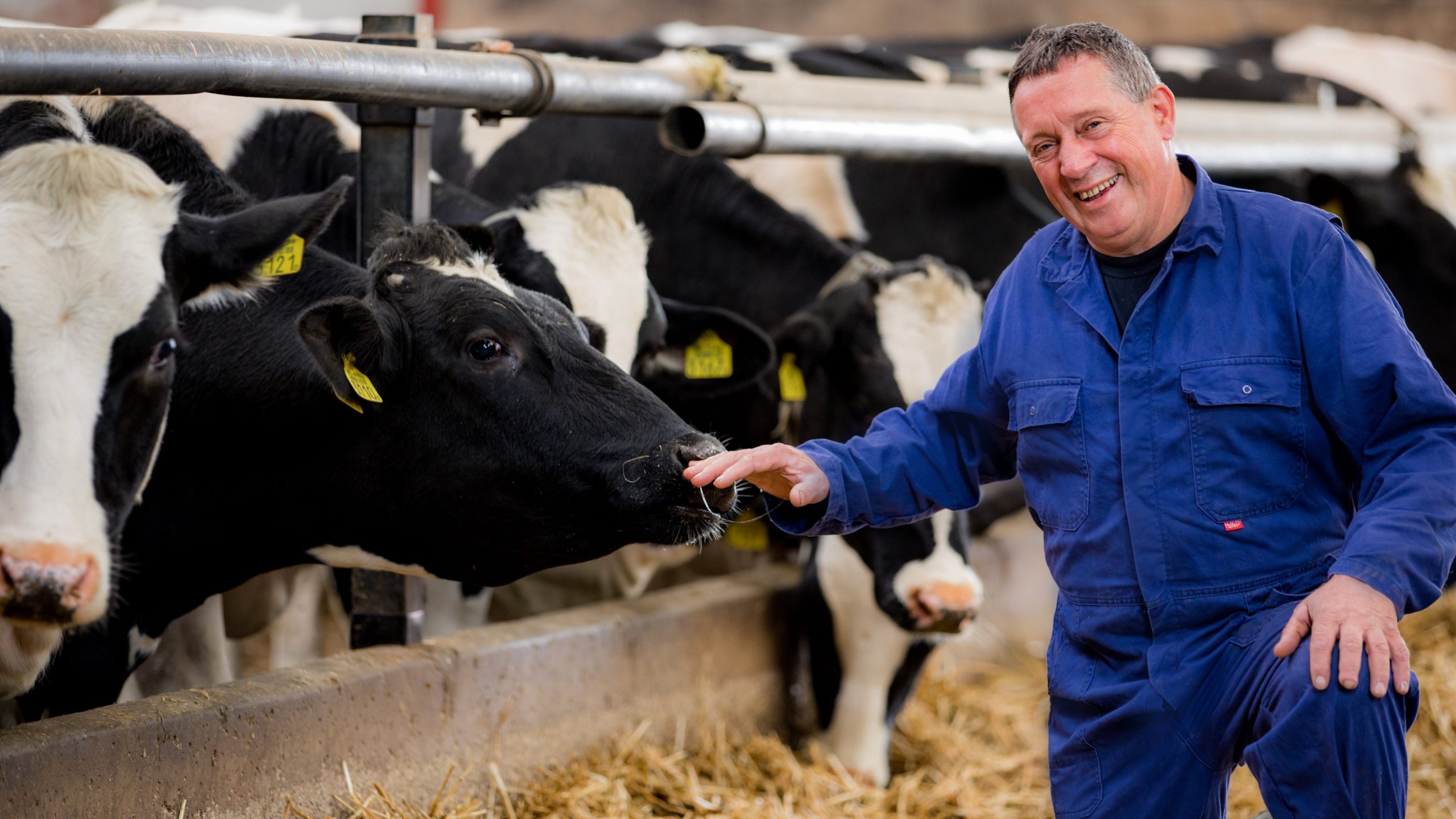 AB Werkt Informail AB Werkt Informail