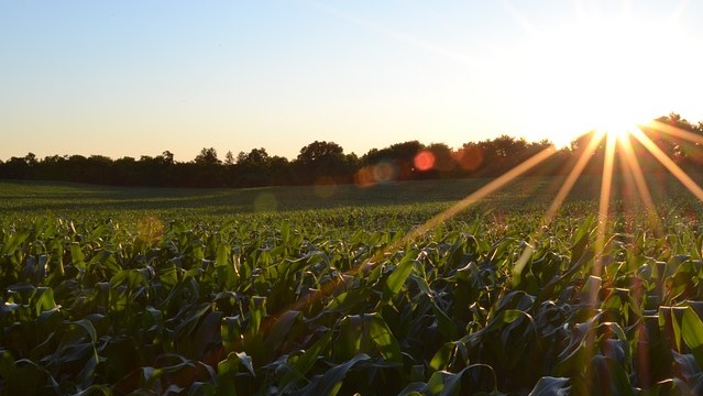 Biodiversiteitsmonitor