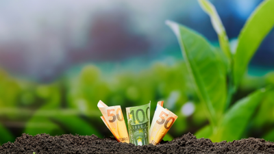 Geld en plantjes (1) Webinar (1)
