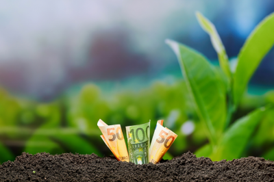 Geld en plantjes Geld en plantjes