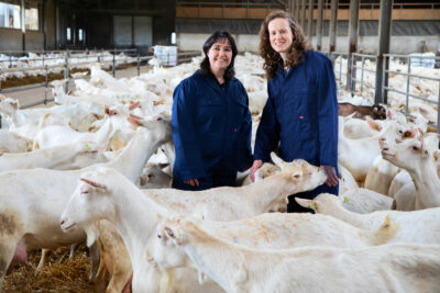 02_Heidebloem_fotostudio_karel_Bingen 02_Heidebloem_fotostudio_karel_Bingen