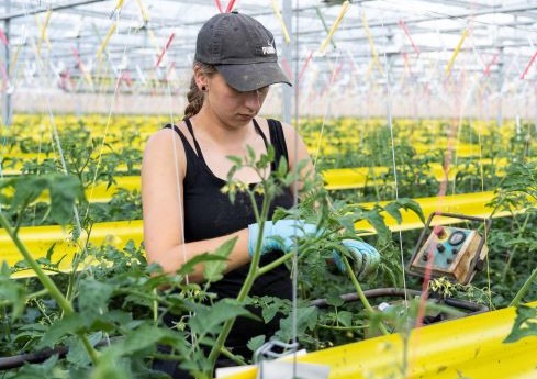 Foto Meijs. Vereijken-42 Foto Meijs. Vereijken-42