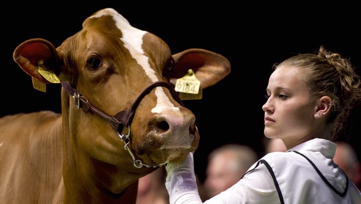 c96139e7-707f-424e-bb94-384b2d6b1981 c96139e7-707f-424e-bb94-384b2d6b1981