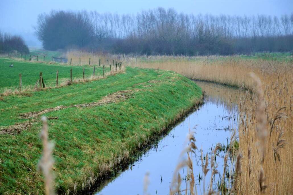 Fellere-kleuren-1030×687 Fellere-kleuren-1030x687