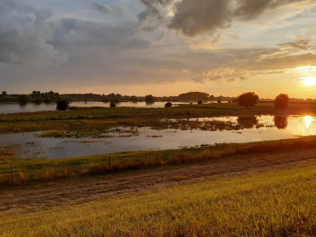 WhatsApp-Image-2021-08-06-at-20.57.40-1030×773 WhatsApp-Image-2021-08-06-at-20.57.40-1030x773