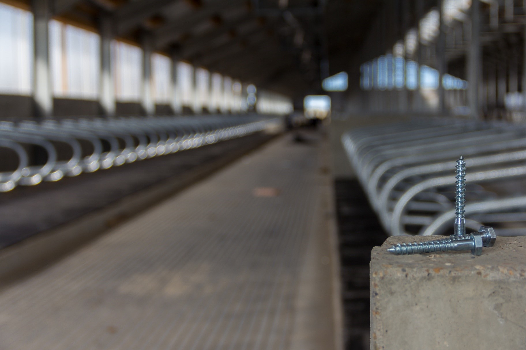 Taskforce excursie Melkvee foto uitnodiging Taskforce excursie Melkvee foto uitnodiging