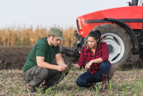 Young farmers examing dirt while tractor is plowing field Young farmers examing dirt while tractor is plowing field