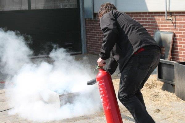 WhatsApp Image 2021-12-03 at 12.52.17 WhatsApp Image 2021-12-03 at 12.52.17