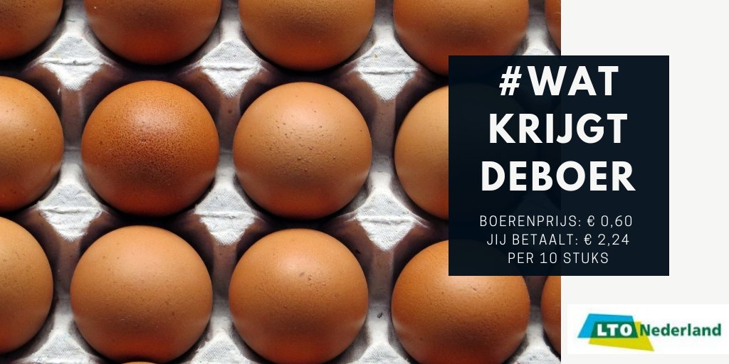 #watkrijgdeboer – eieren #watkrijgdeboer - eieren
