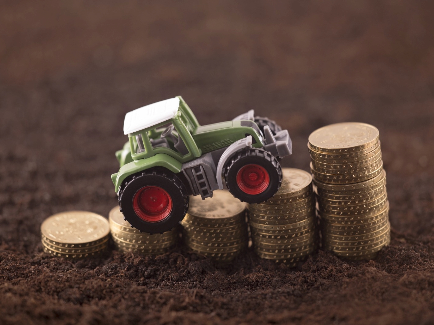 WhatsApp Image 2022-03-15 at 1.37.01 PM