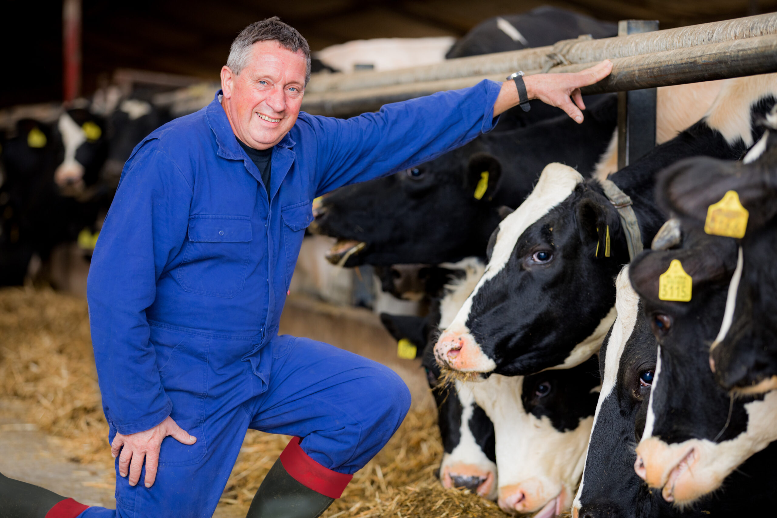 Bedrijfsverzorger Jan vd Avoort 2019 (7) Bedrijfsverzorger Jan vd Avoort 2019 (7)