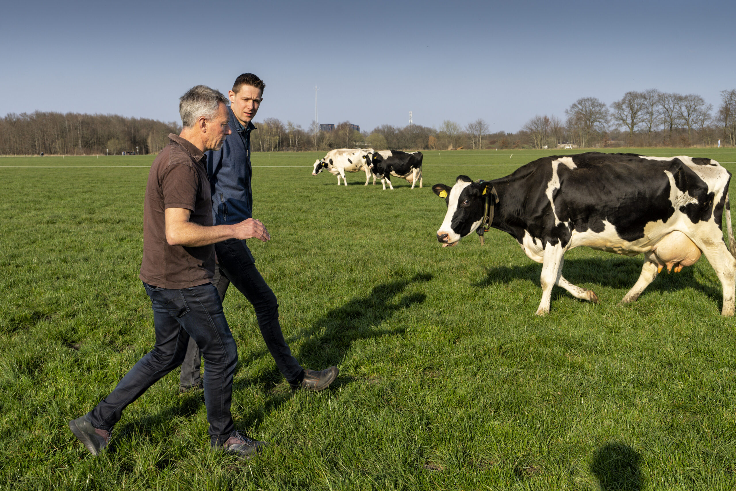 Dirk Roelants en Theo Bakker Nederland, Breda, boer Dirk Roelants wordt gecoached door Theo Bakker. Dirk wil graag zijn bedrijf vergroenen en implementeren met de nattuur rondom zijn bedrijf.