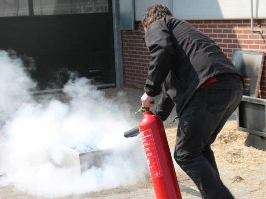 WhatsApp Image 2021-12-03 at 12.52.17 WhatsApp Image 2021-12-03 at 12.52.17