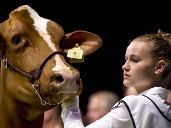 c96139e7-707f-424e-bb94-384b2d6b1981 4-3