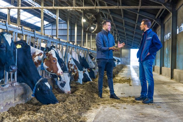 Seed2FEED (17) Seed2FEED (17)