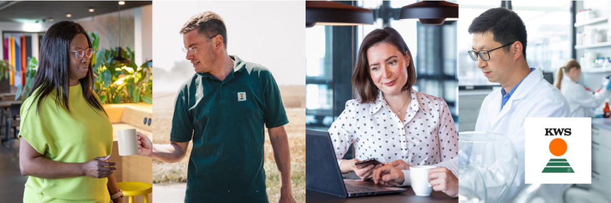 KWS vacatures