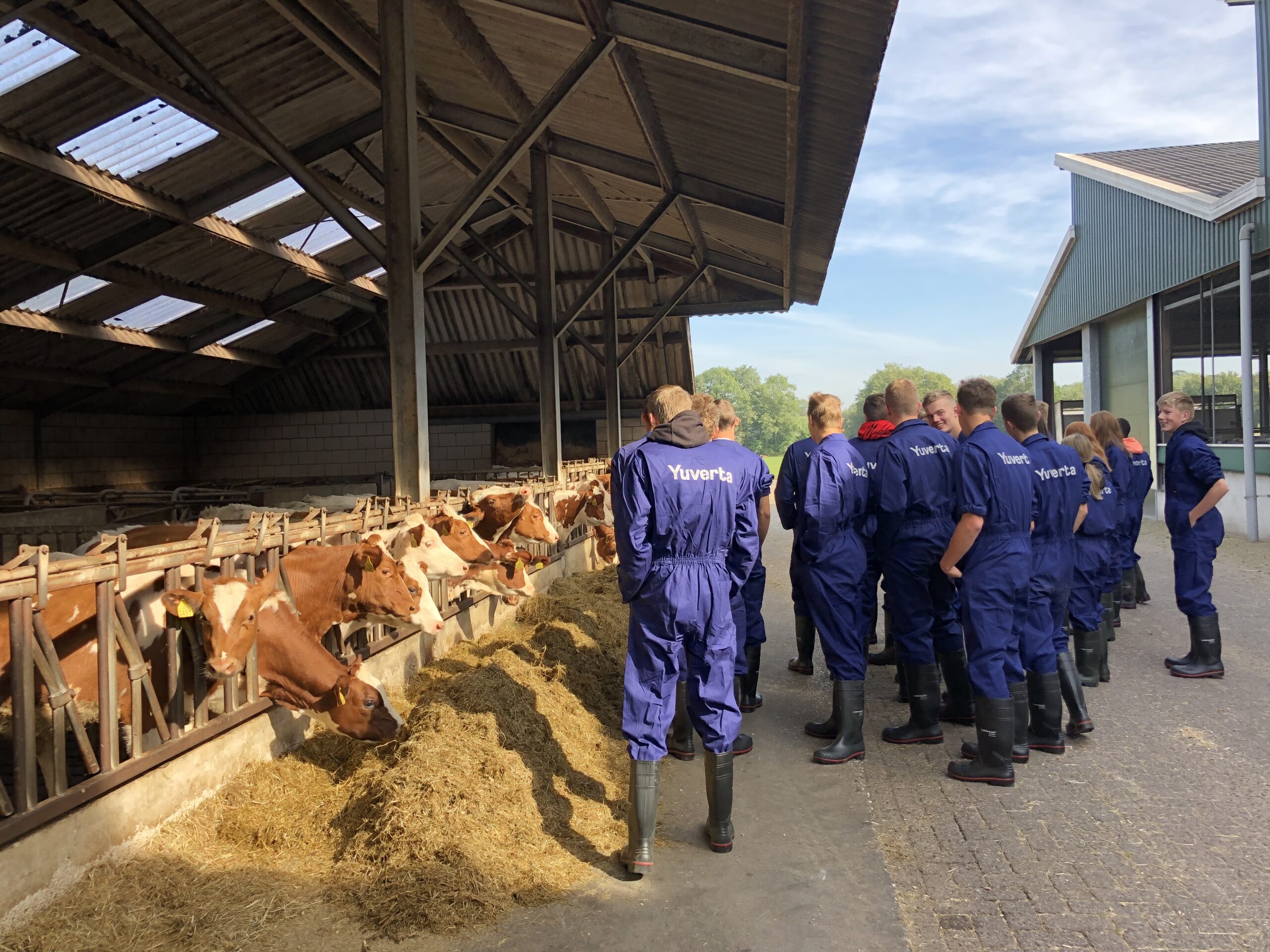 Praktijkles Veehouderij Yuverta mbo Boxtel Praktijkles Veehouderij Yuverta mbo Boxtel