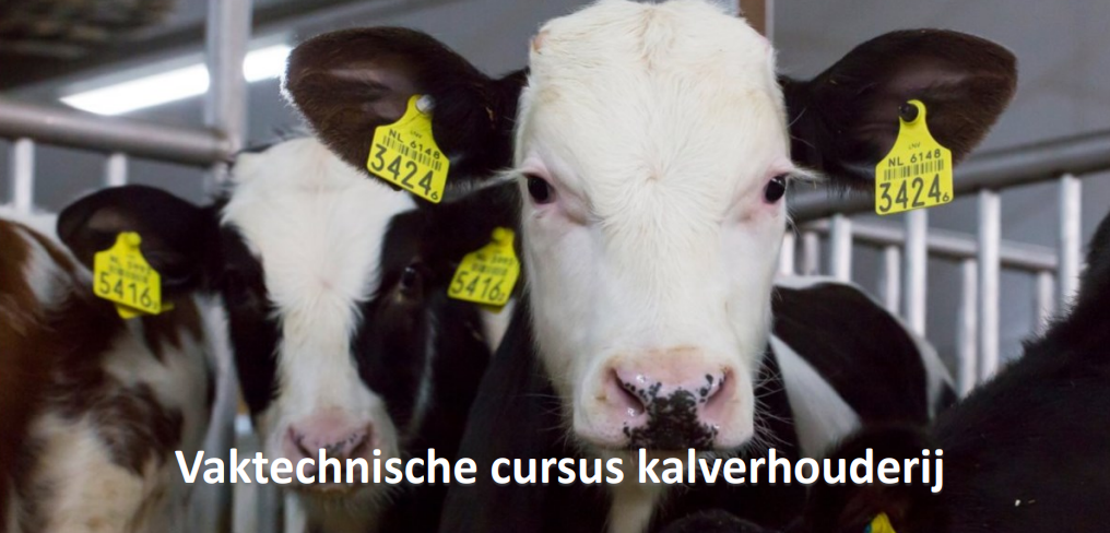 Schermafbeelding 2023-03-14 143507 Schermafbeelding 2023-03-14 143507