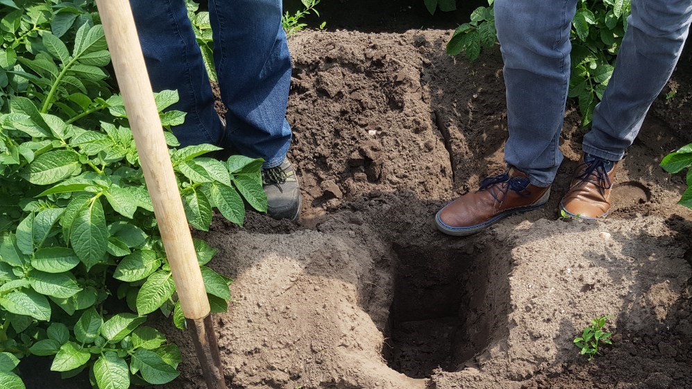 Bodem onder de loep Bodem onder de loep