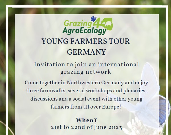 Schermafbeelding 2023-06-08 204125 Schermafbeelding 2023-06-08 204125