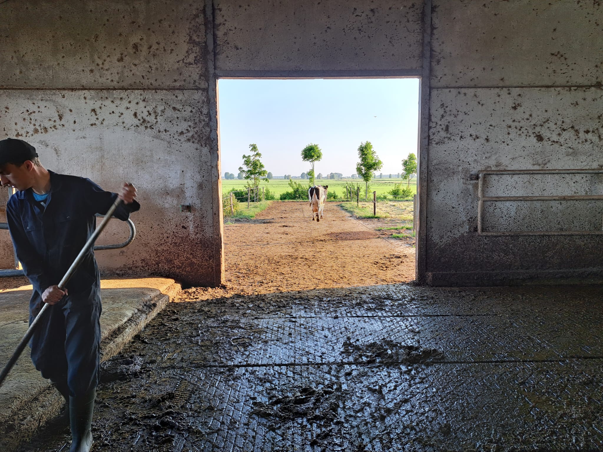 WhatsApp Image 2023-06-10 at 16.29.07 WhatsApp Image 2023-06-10 at 16.29.07