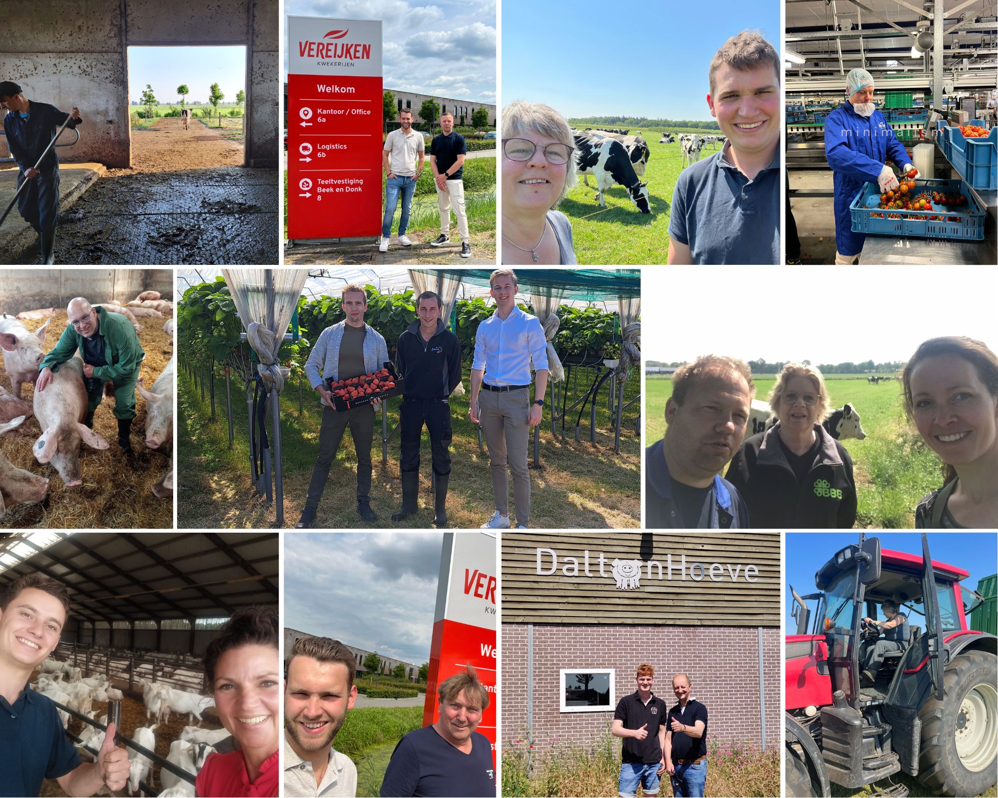 Ontwerp zonder titel Ontwerp zonder titel