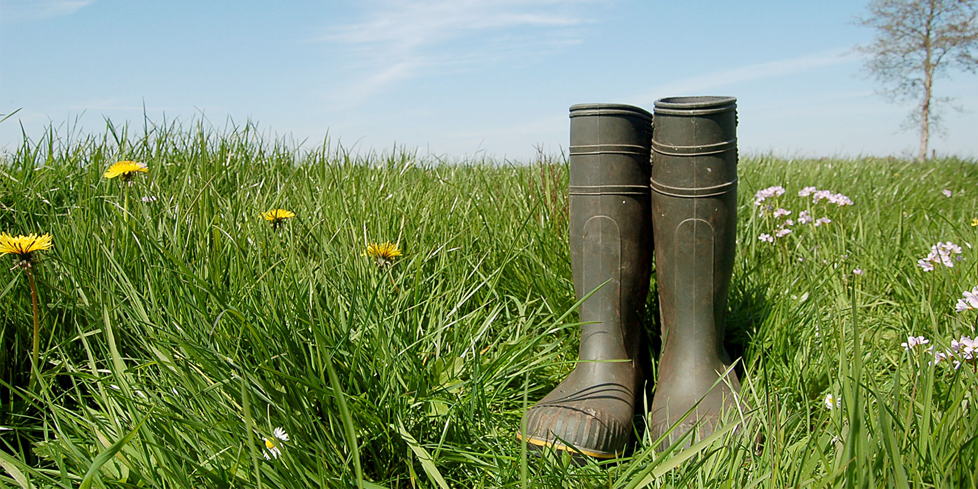 kwartaalrapportage kwartaalrapportage