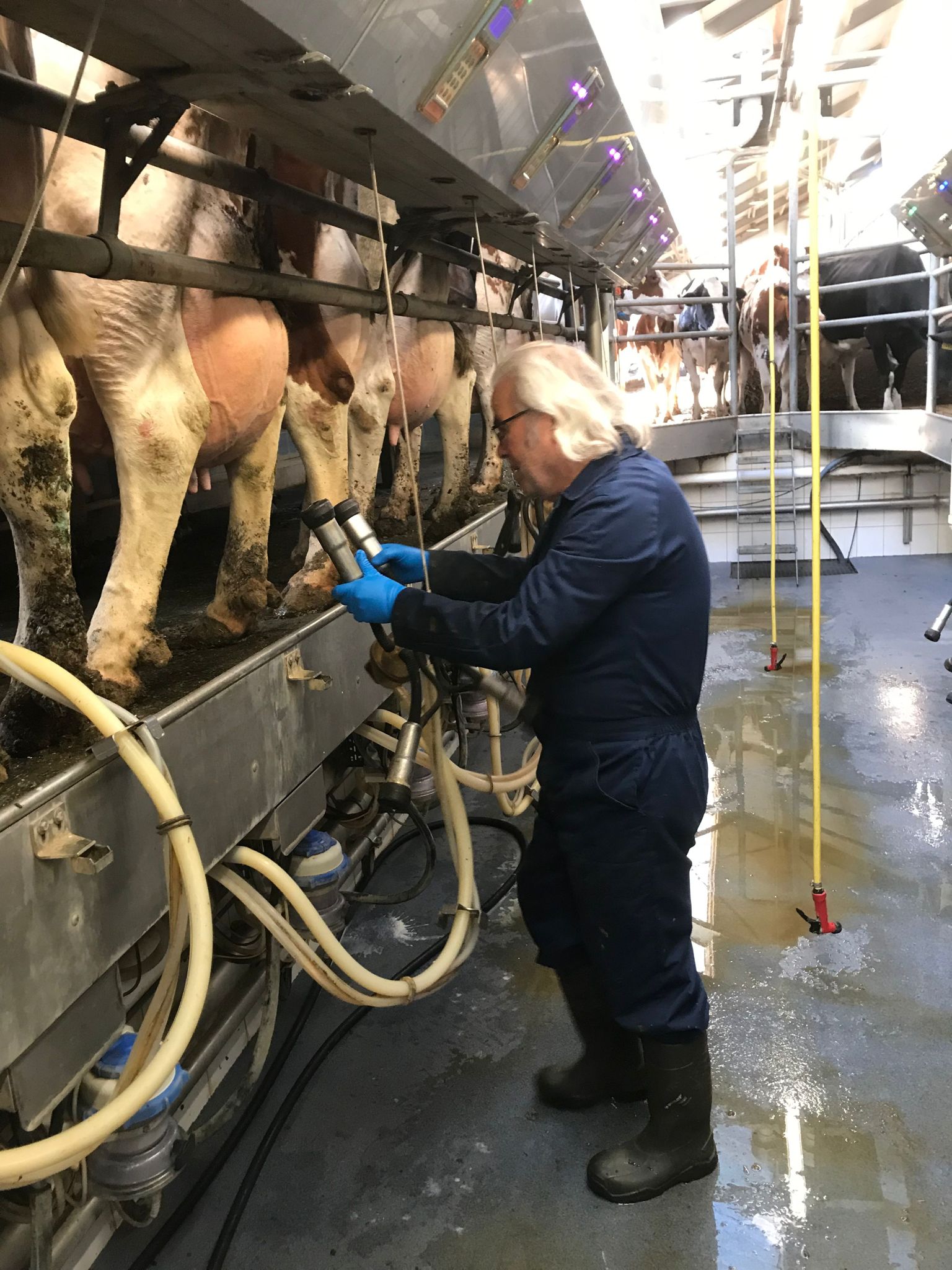 3cb738d1-82d1-4c09-b6a4-d99f62dac824 3cb738d1-82d1-4c09-b6a4-d99f62dac824