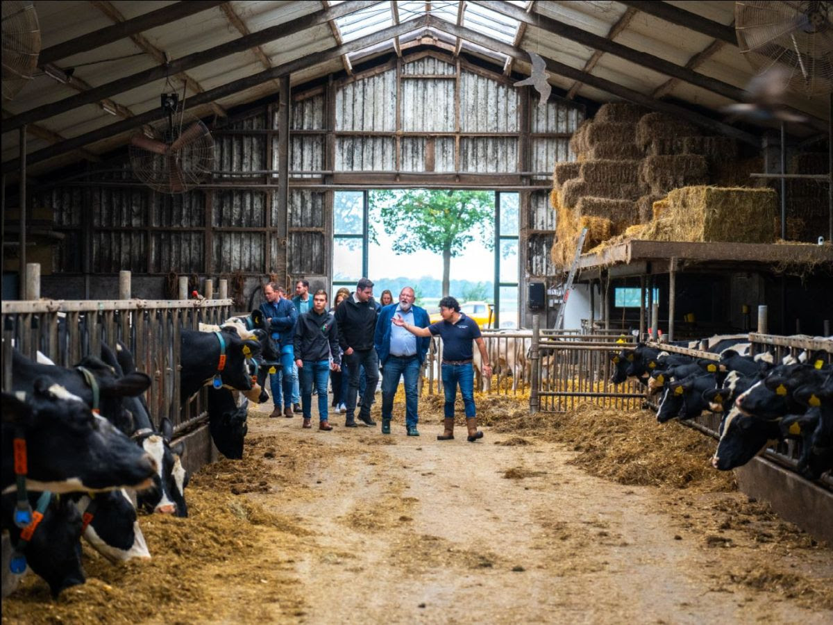 unnamed (2) unnamed (2)