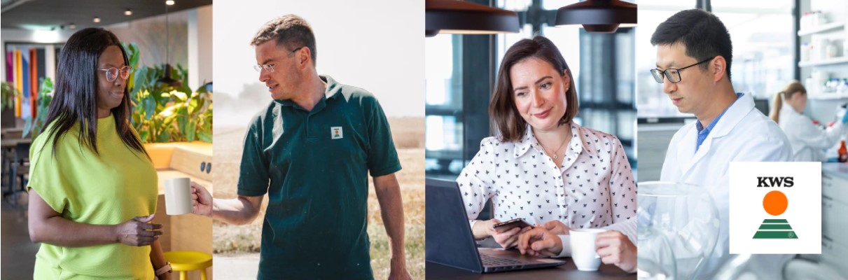 Vacatures KWS Vacatures KWS