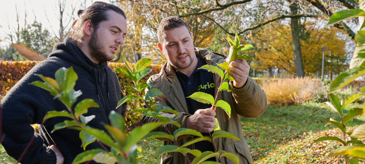 1365_curio-amc-fts-10 1365_curio-amc-fts-10