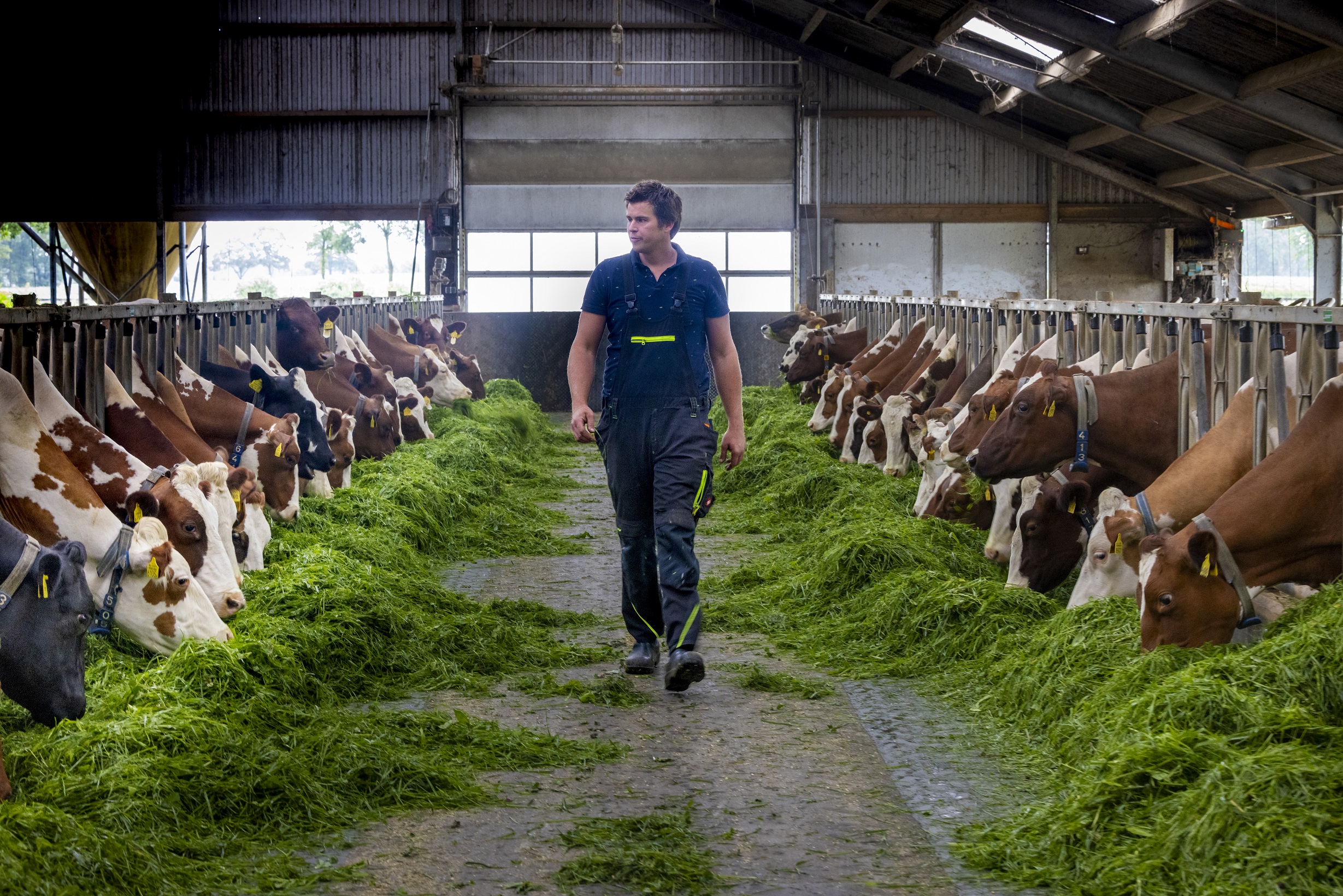 Geesteren, 04-07-2023-101 Geesteren, 04-07-2023-101