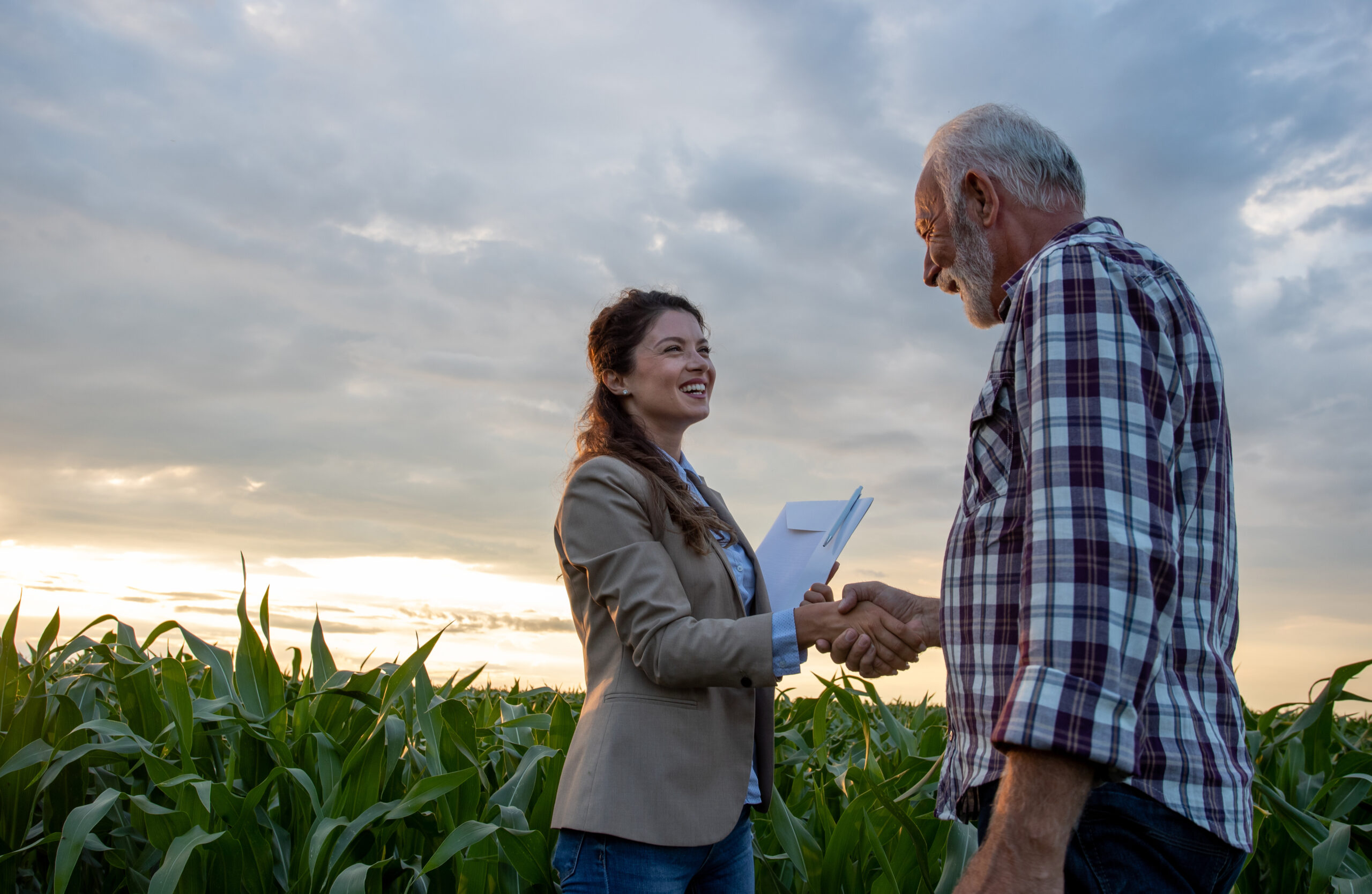 Farmer and business woman shaking hands in field Senior man farmer shaking hands with young pretty woman with notebook in corn field. Insurance in agribusiness concept