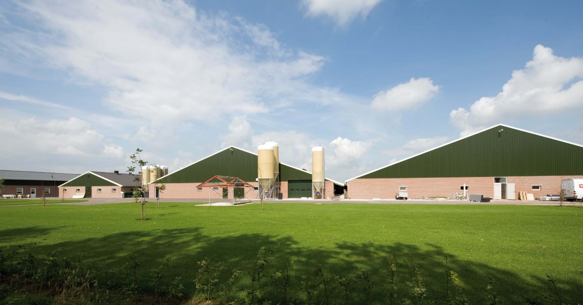 stal met graansilo-min (1) (1) stal met graansilo-min (1) (1)