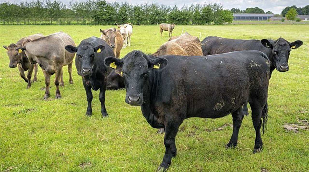 11b122225789a4922025c47d48897c4f3113bf18 11b122225789a4922025c47d48897c4f3113bf18