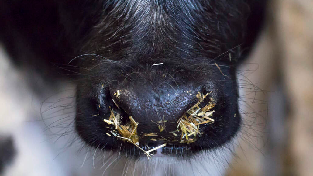 15e9fdf6f490fd2cdd4d138efbd7af547e5b4def 15e9fdf6f490fd2cdd4d138efbd7af547e5b4def