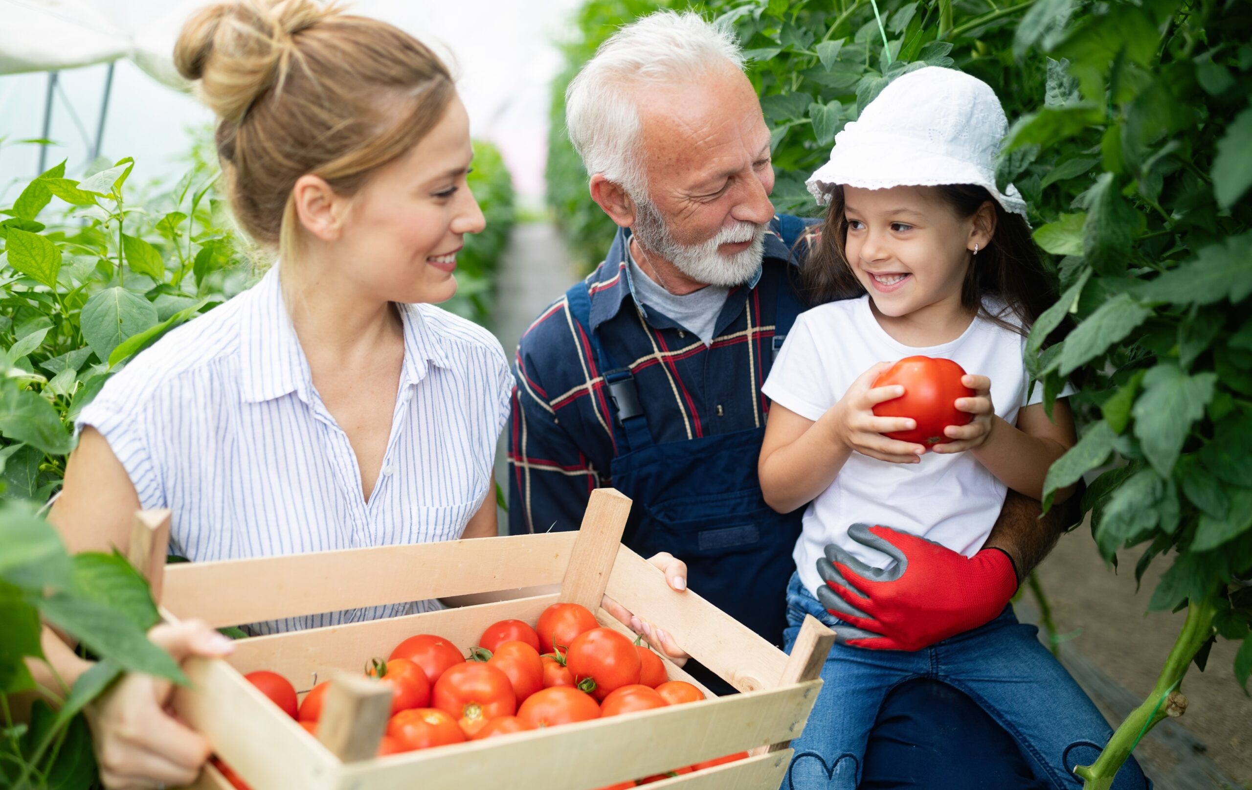 Afbeelding1 Afbeelding1