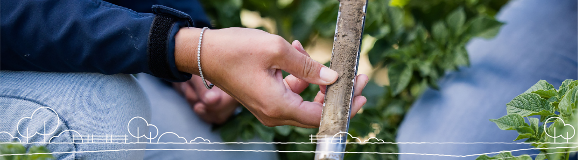 HeaderBrabant HeaderBrabant