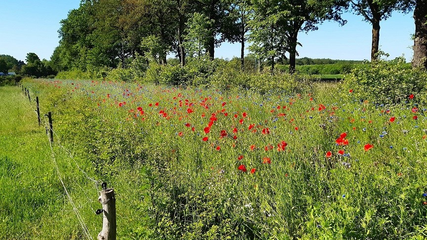 c27a9389a710f4ea90f18d55a0818a3ab2455e72 c27a9389a710f4ea90f18d55a0818a3ab2455e72