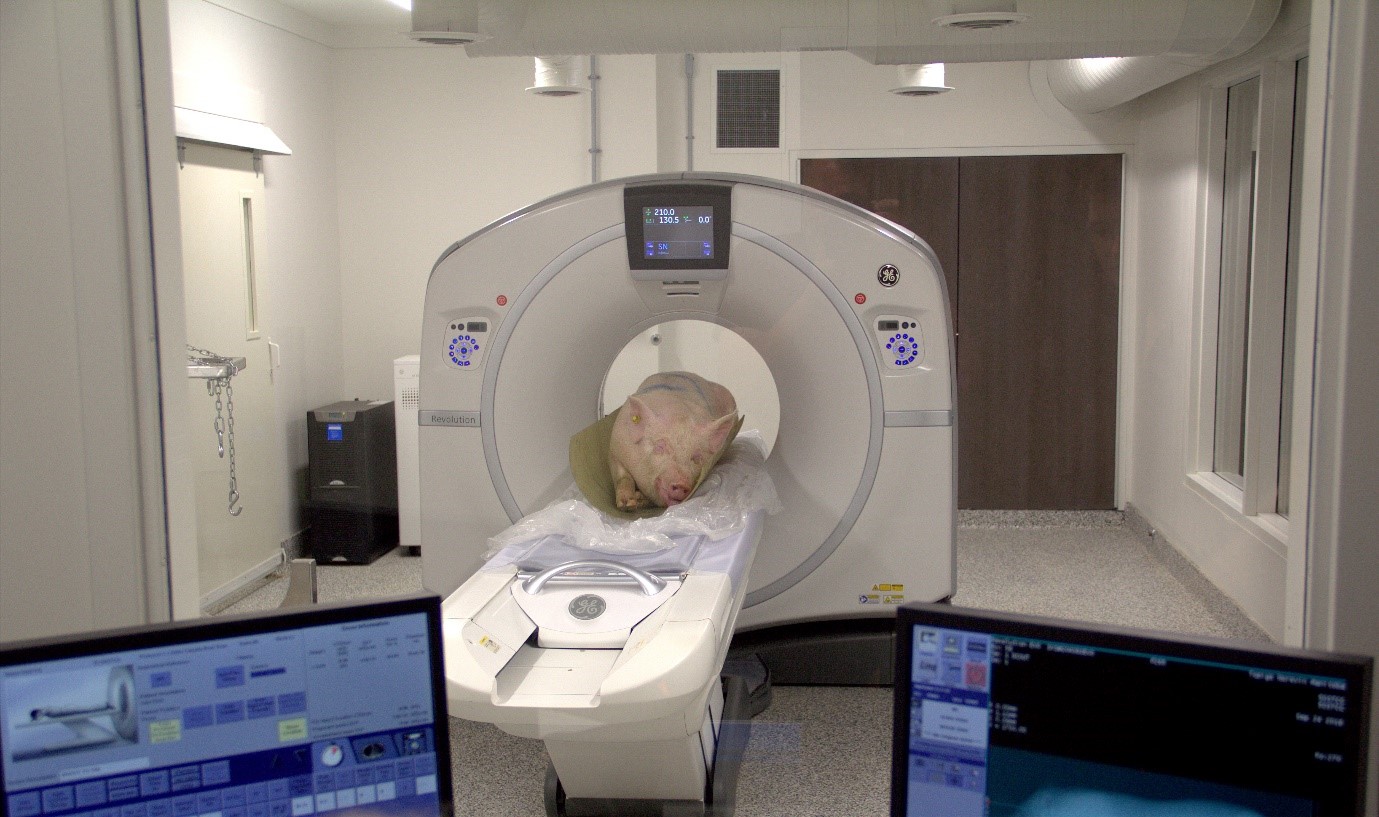 Afbeelding1 Afbeelding1