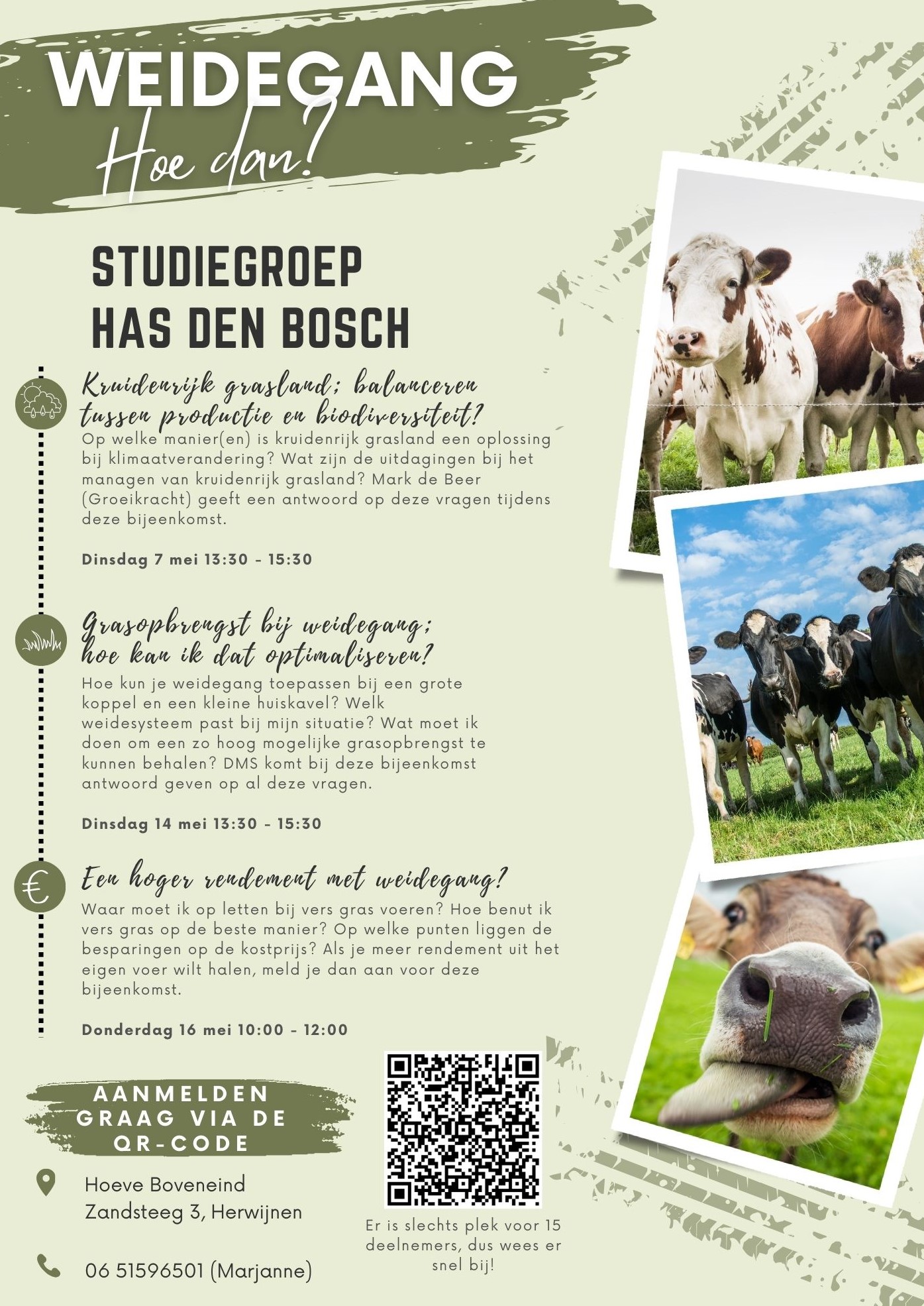 Groen Gras Omrand Tuinonderhoud Flyer – 1 Groen Gras Omrand Tuinonderhoud Flyer - 1