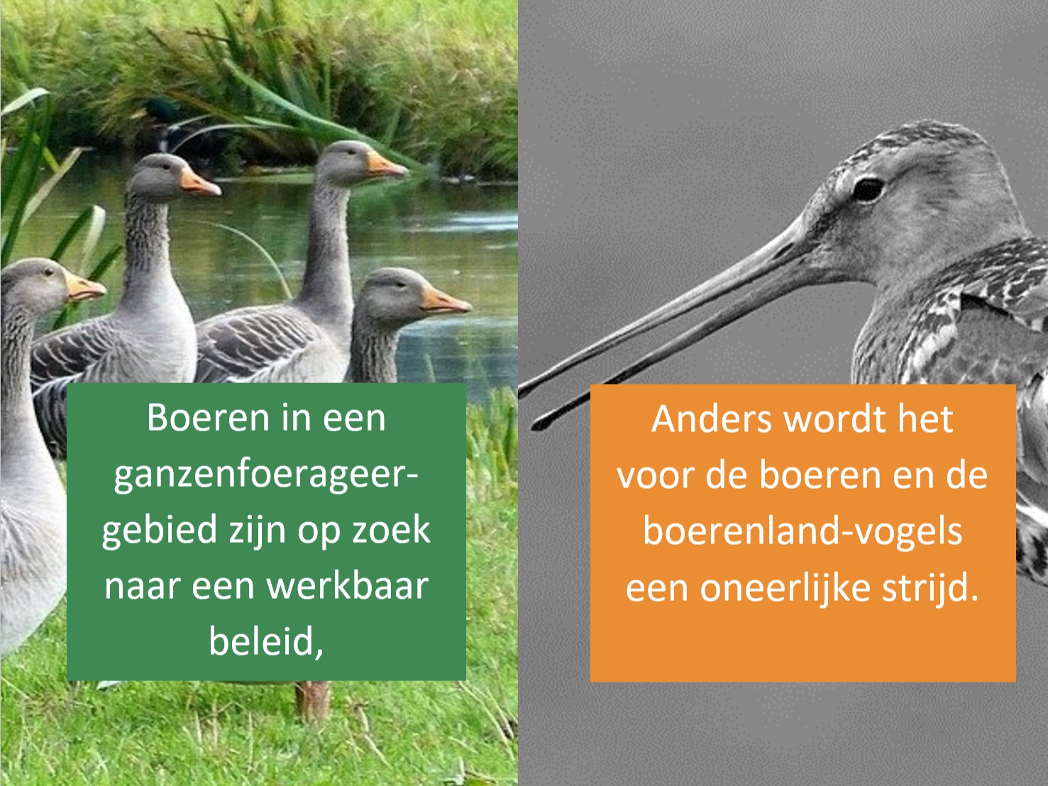 ledenverhaal natuur ledenverhaal natuur