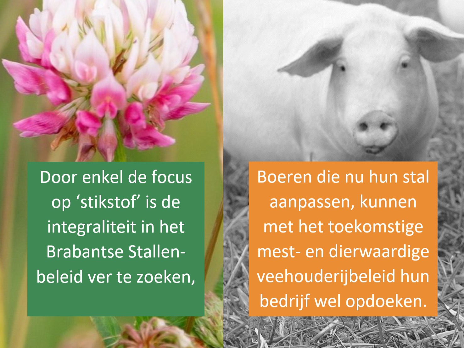 ledenverhaal stikstof ledenverhaal stikstof