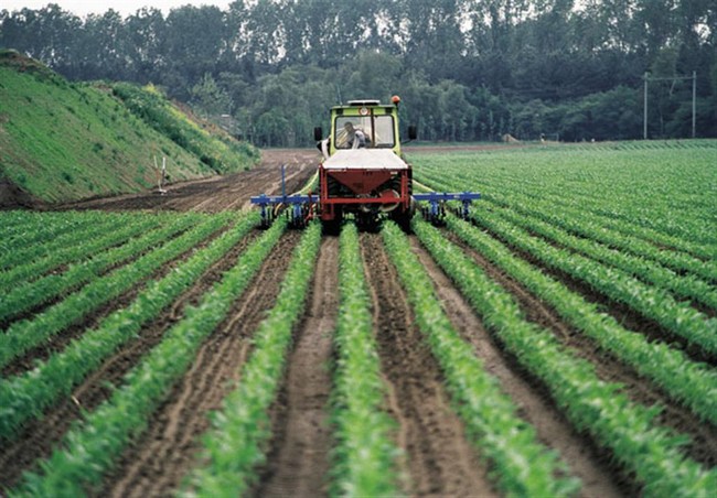 4132 – Akkerbouw – Editorial – PNB 4132 - Akkerbouw - Editorial - PNB