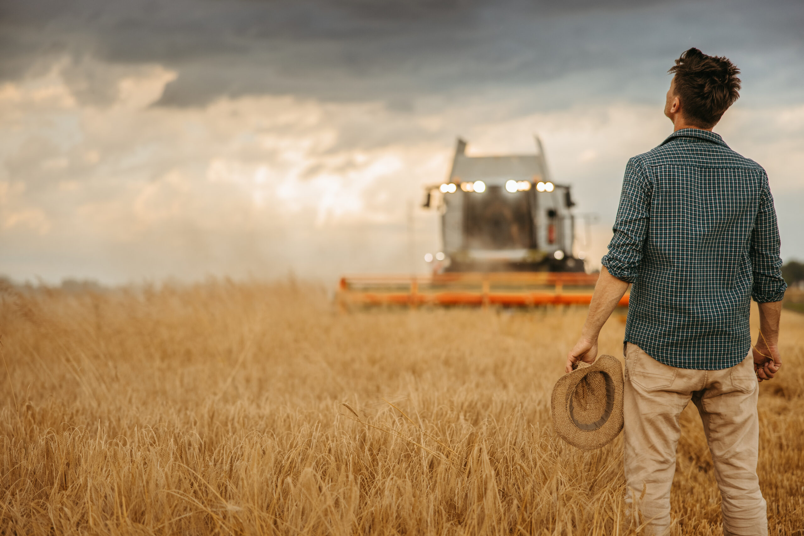 Farmer with combine harvester on wheat field Rear view of farmer with combine harvester on agricultural wheat field