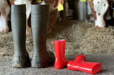 bedrijfsovername 3 bedrijfsovername 3