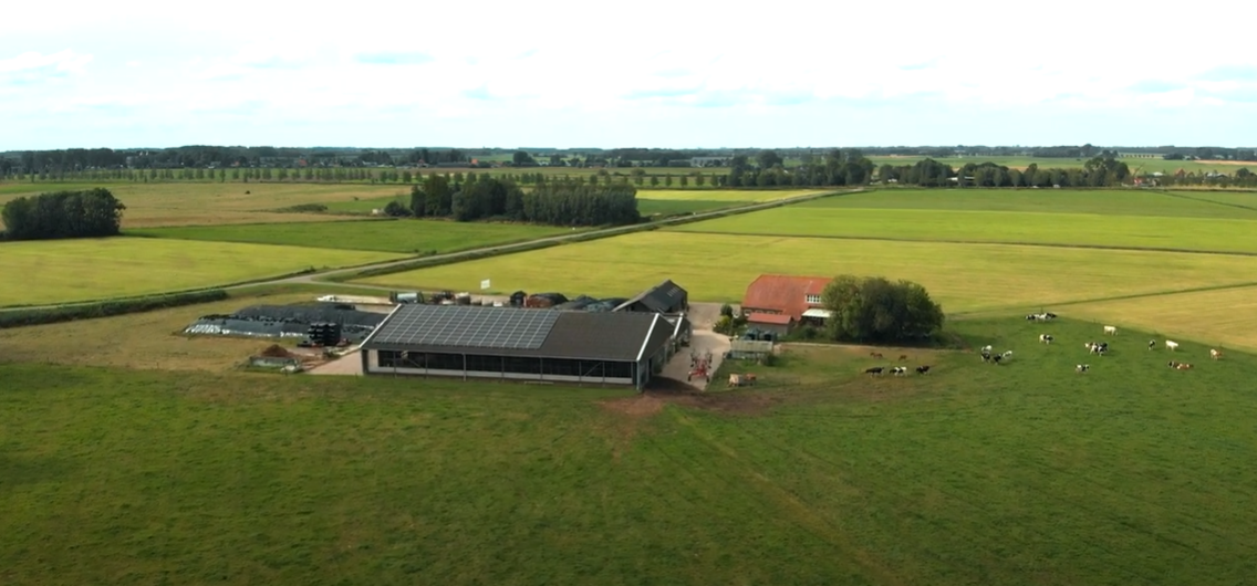 Schermafbeelding 2024-08-07 102700 Schermafbeelding 2024-08-07 102700