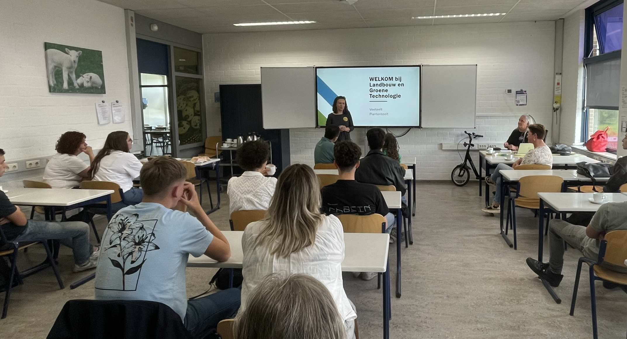 curio 29-8 curio 29-8